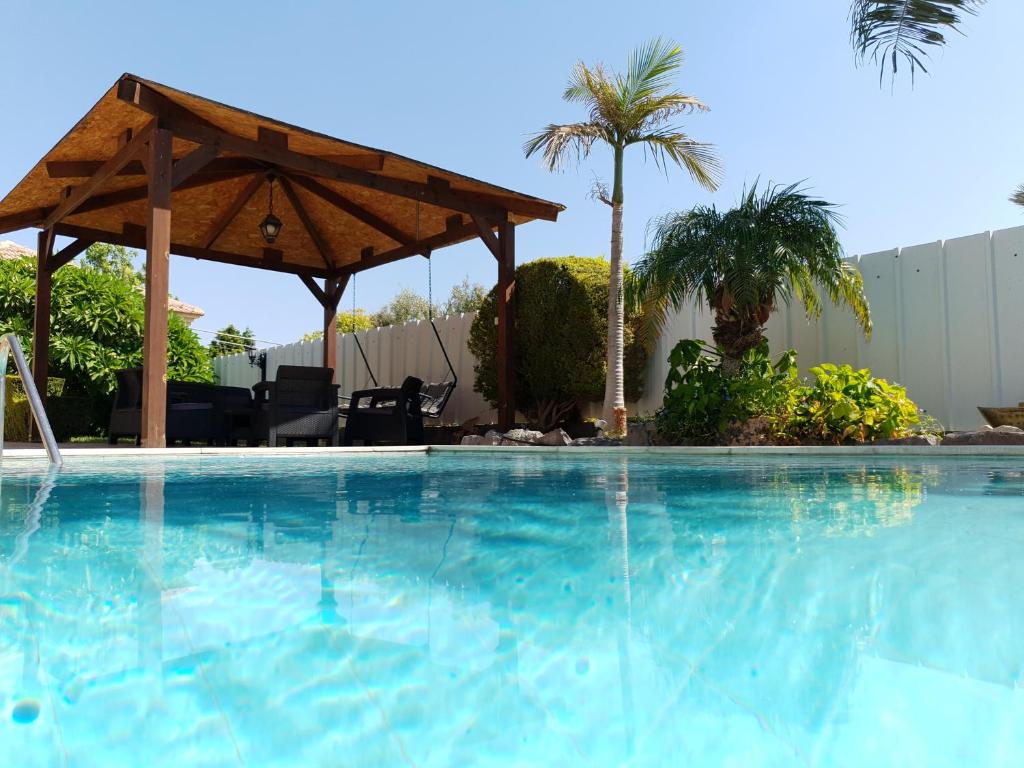a large swimming pool with a wooden umbrella and palm trees at Good Zimmer With Love in Sede Terumot