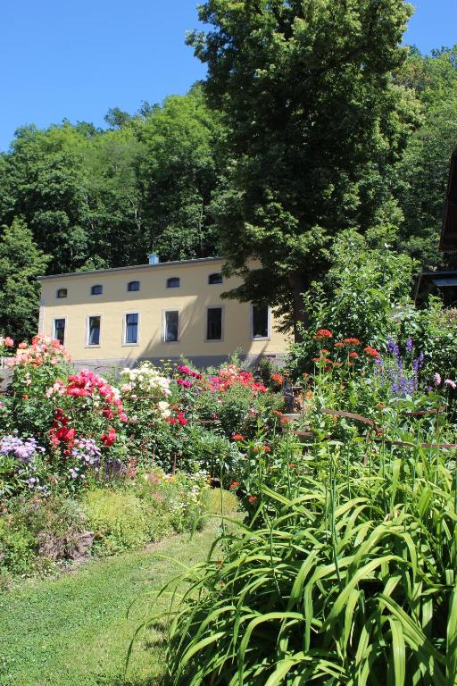 einen Garten mit Blumen vor einem Gebäude in der Unterkunft Ferienwohnung Goldgrund in Meißen