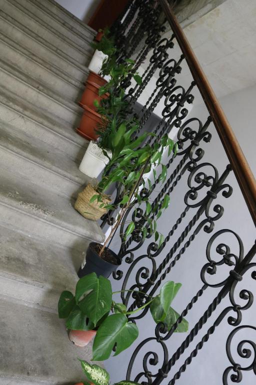 Fotografie z fotogalerie ubytování Apartment F6 v destinaci Osijek