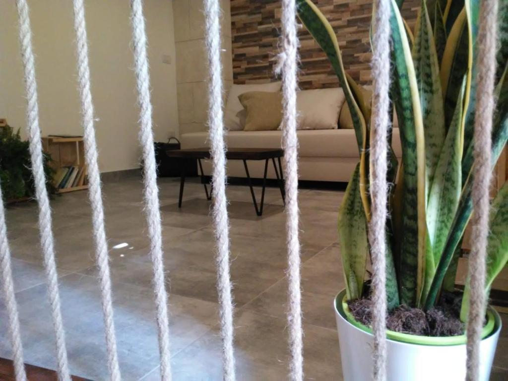 THE ROPE Apartment