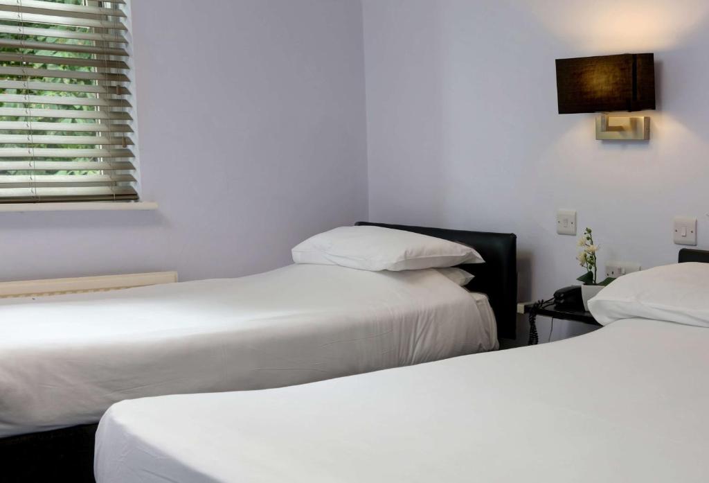 Sure Hotel by Best Western Reading - Standard Twin Room