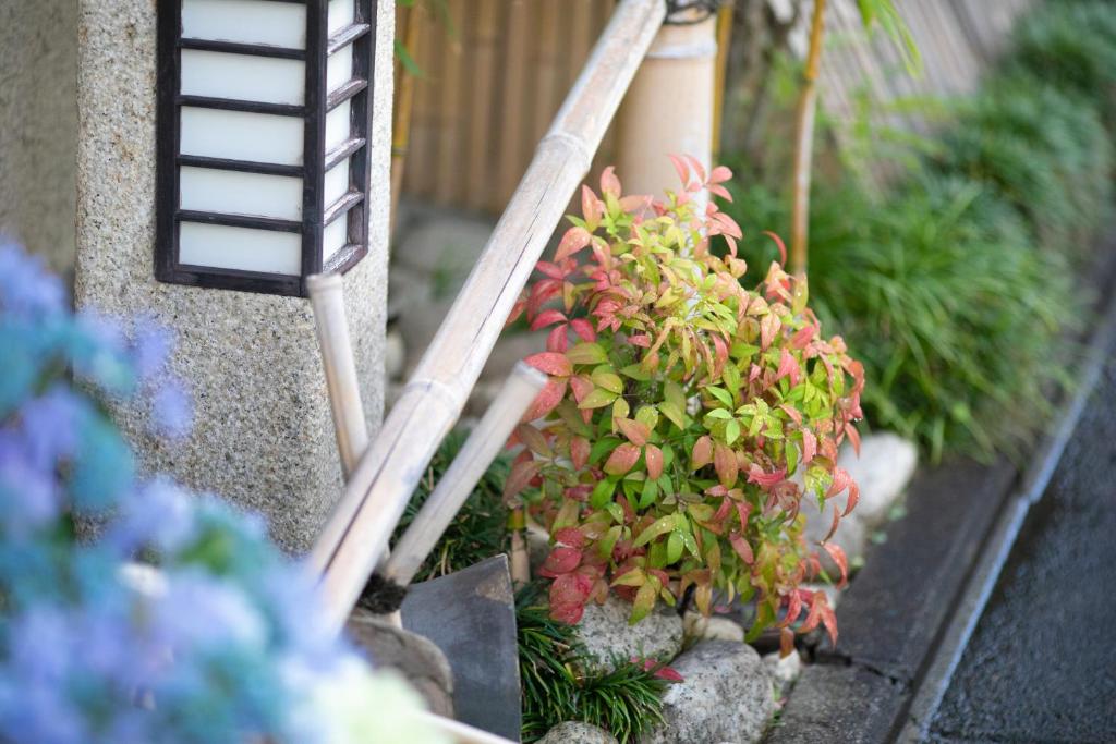 Giardino di Ohanabo