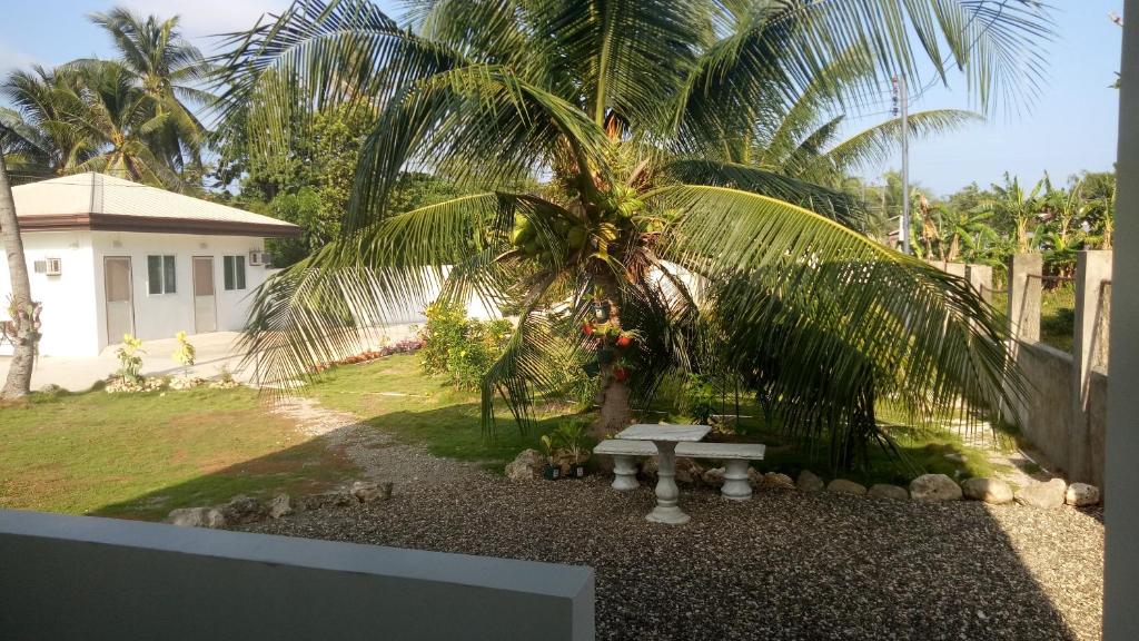 a palm tree with a bench in front of a house at Kathleens Vacation Place in Moalboal