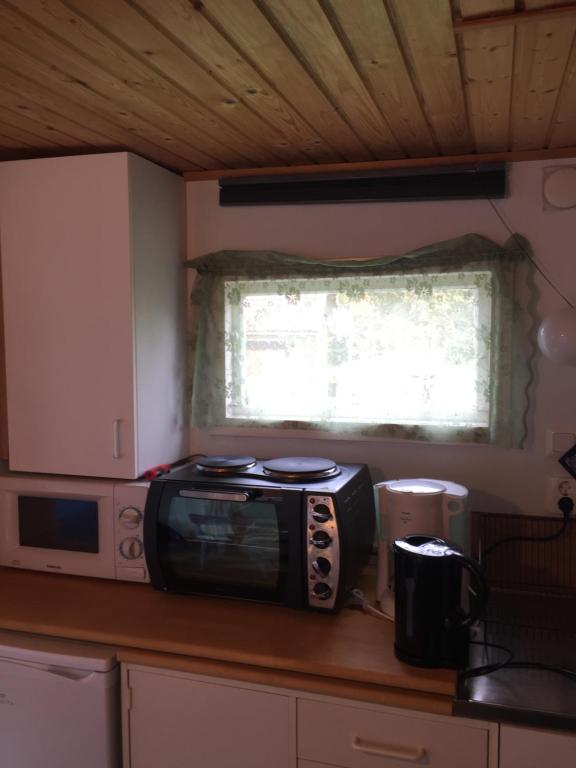 Kuchyň nebo kuchyňský kout v ubytování Dövared