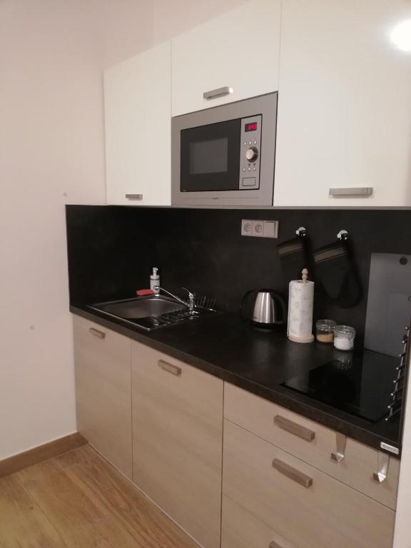 Kuchnia lub aneks kuchenny w obiekcie Apartmán Bezkov 108
