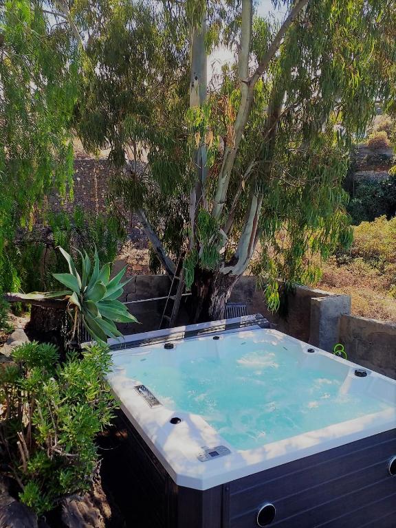 Zen Republic Teneriffa