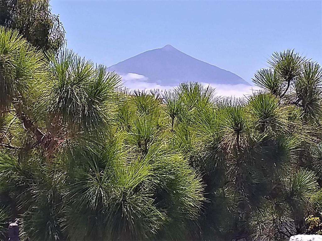 Zen Republic Teneriffa