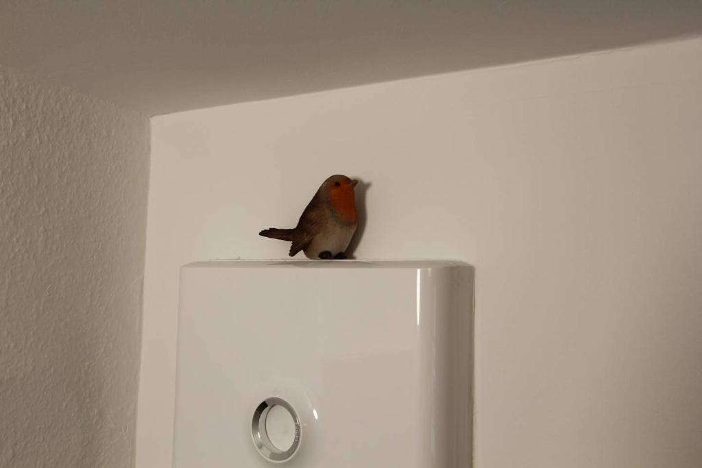 Chambre chez l'habitant Le Rouge-Gorge - Cœur de Riquewihr - 2 personnes – photo 17