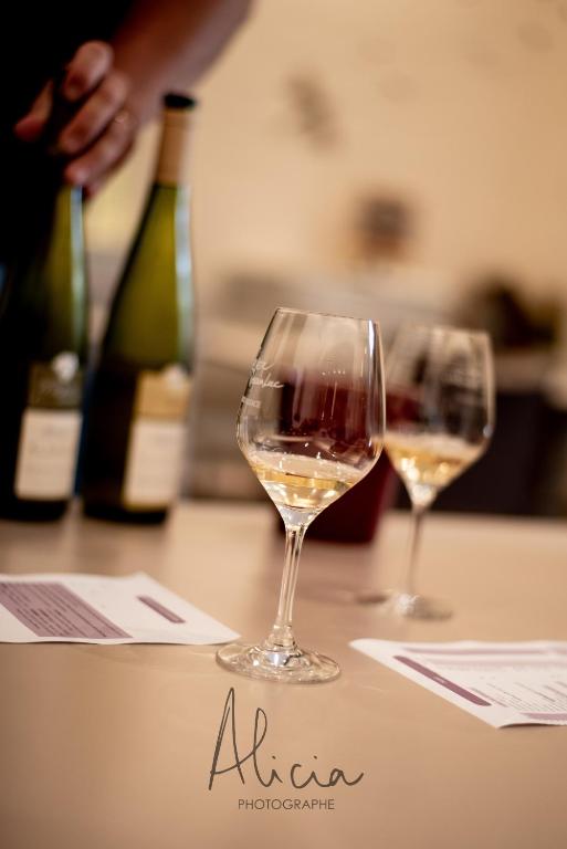B&B Relais du Vigneron - Jean-Luc et Bruno Meyer – photo 60
