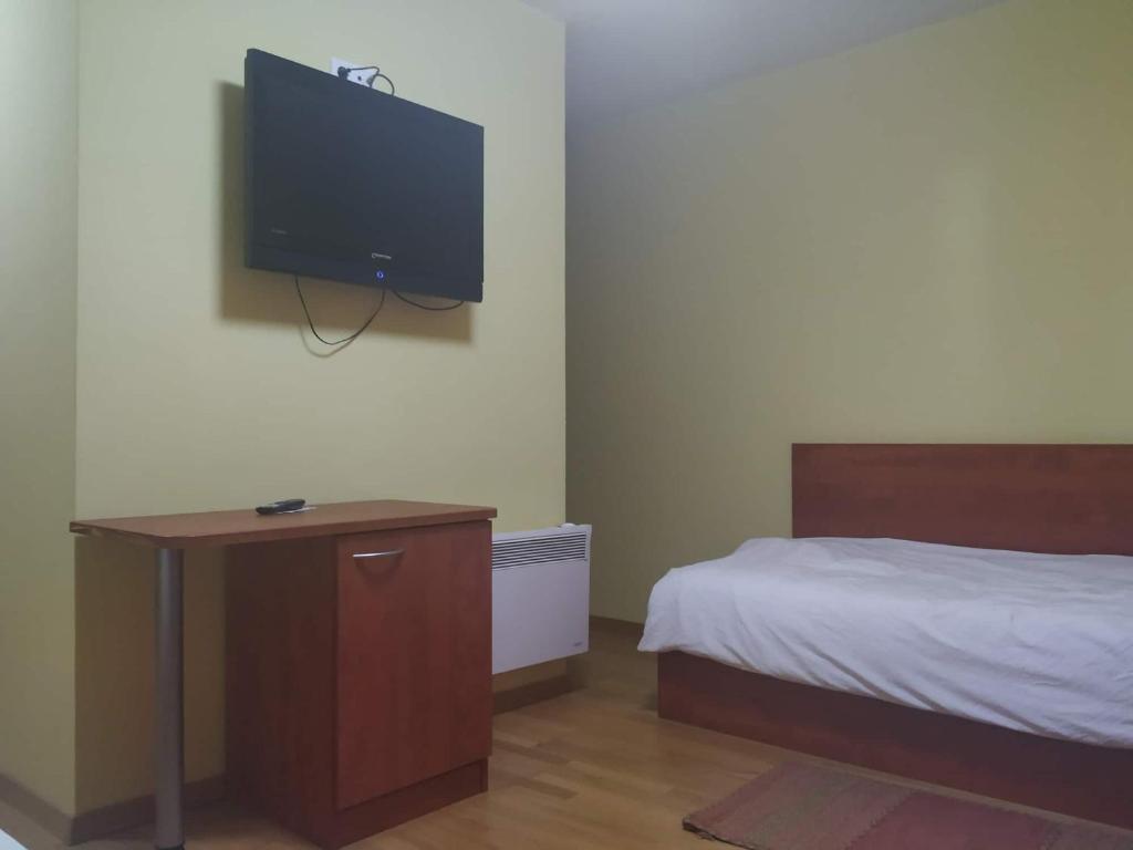 TV a/nebo společenská místnost v ubytování Hotel Jezero