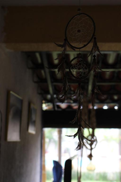  Rio Surf House Hostel e Pousada