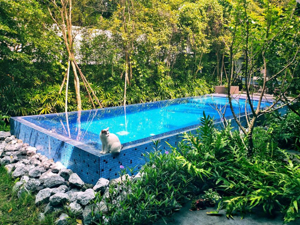 Yellow Pillow village - Resim 23