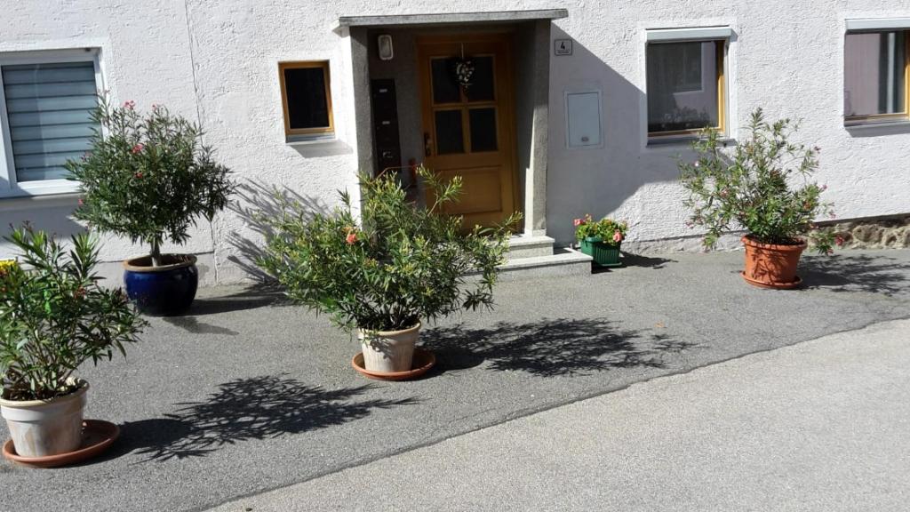 Zahrada ubytování Ferienwohnung Uschkereit