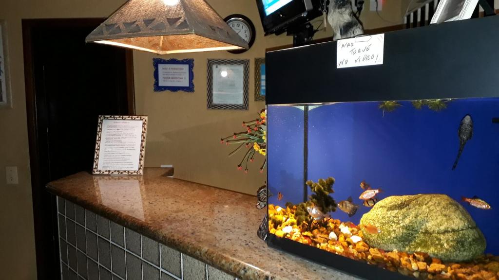  Pousada dos Suricatos