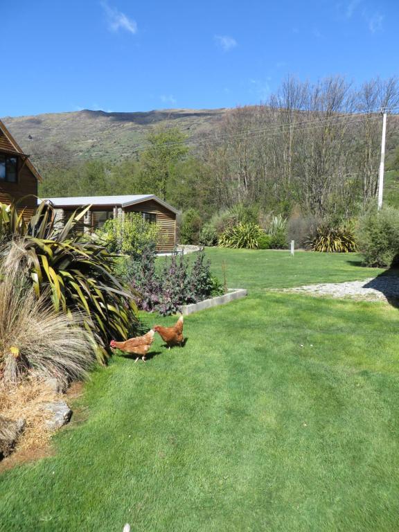 Quiet studio in Paradise - Resim 12