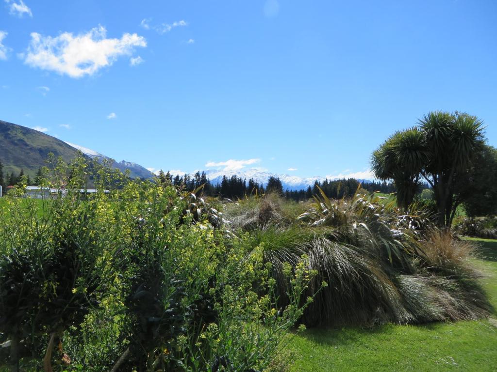 Quiet studio in Paradise - Resim 16