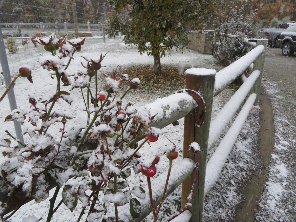 Quiet studio in Paradise - Resim 17