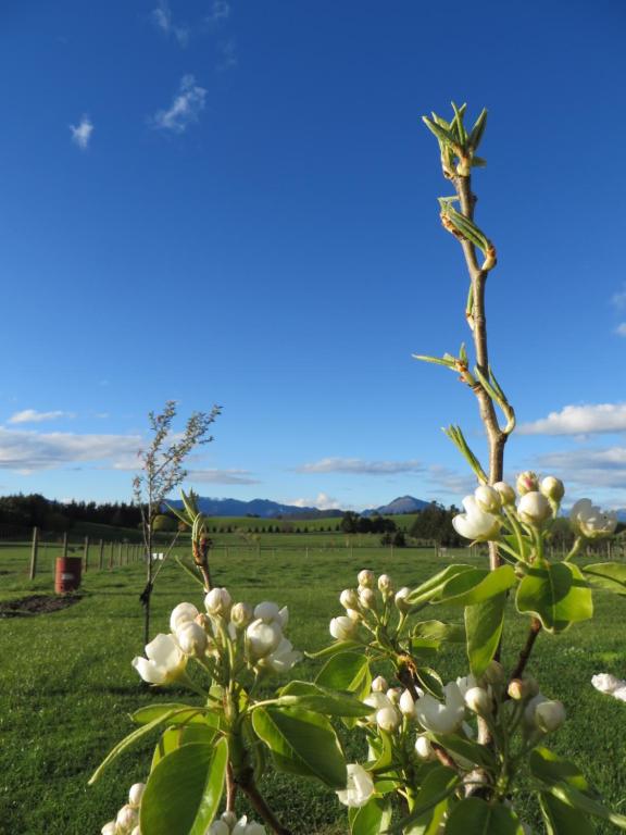 Quiet studio in Paradise - Resim 20