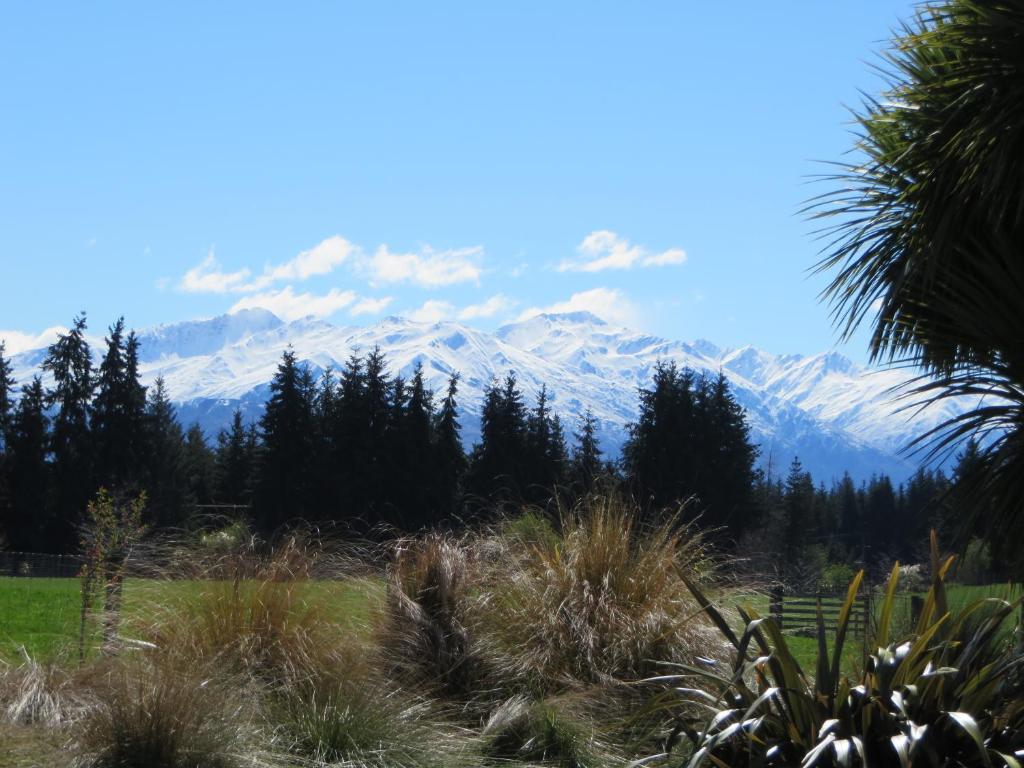 Quiet studio in Paradise - Resim 23