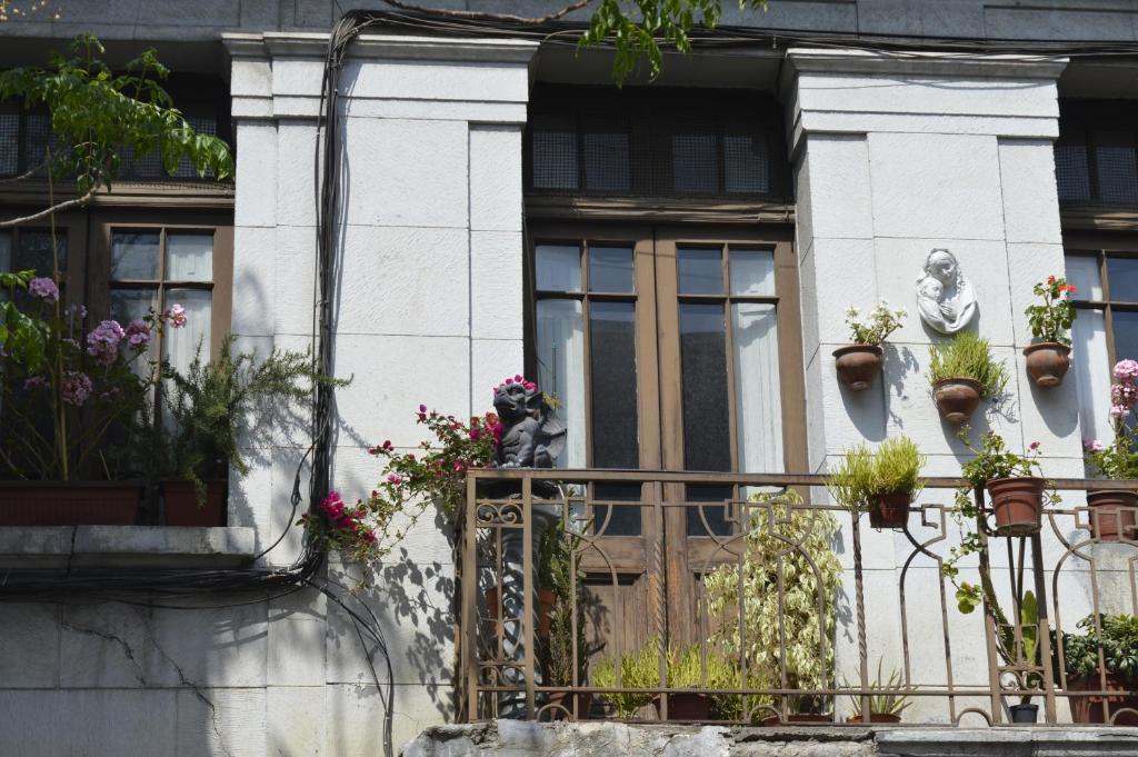Zahrada ubytování Casa dos Leones