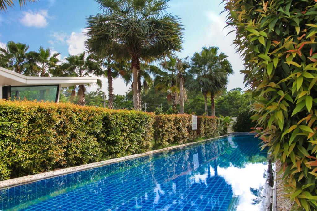 A piscina em ou perto de The Palmery Resort