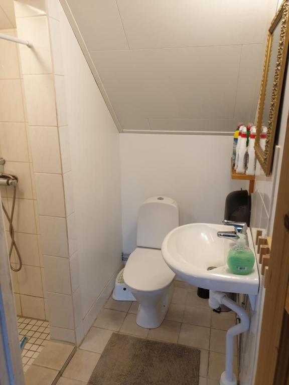 Koupelna v ubytování Örnatorpet Ullared