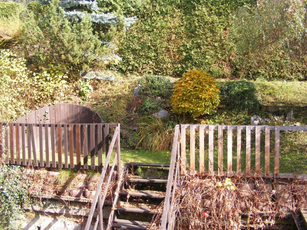 Zahrada ubytování Apartmán Maršík