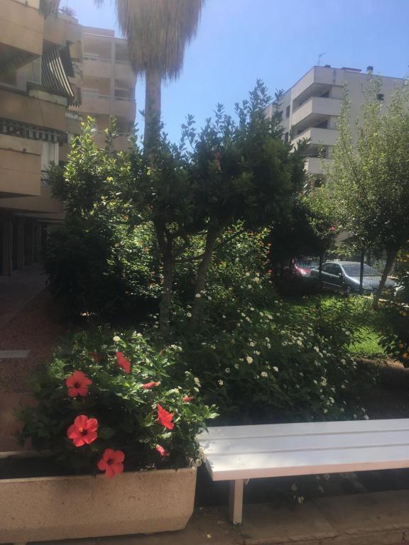 Zahrada ubytování Colóm vacaciones felices