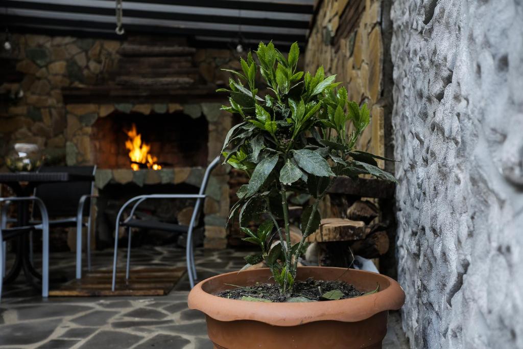 Fotografie z fotogalerie ubytování SunnyAvlabari Homestay v destinaci Tbilisi City