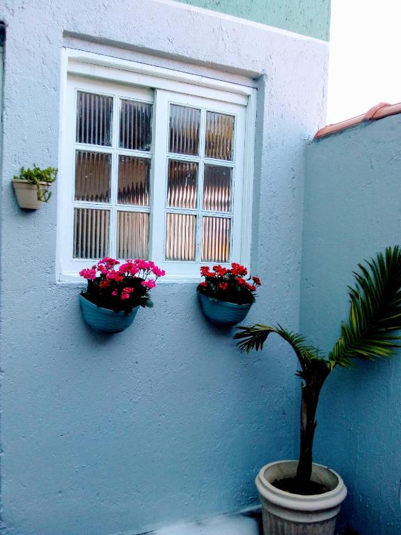  Solar Di Petrópolis - Apartamentos de Temporada