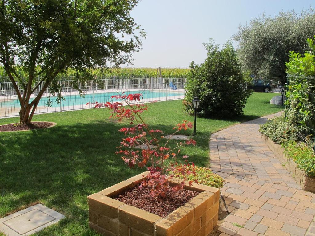 Bazén v ubytování Agriturismo Bortolino nebo v jeho okolí