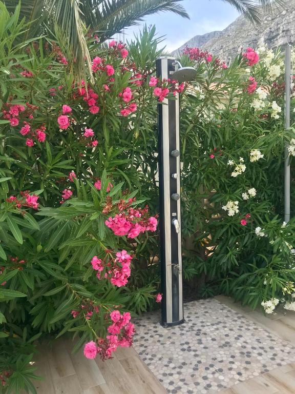Zahrada ubytování Villa Denia Costa Blanca
