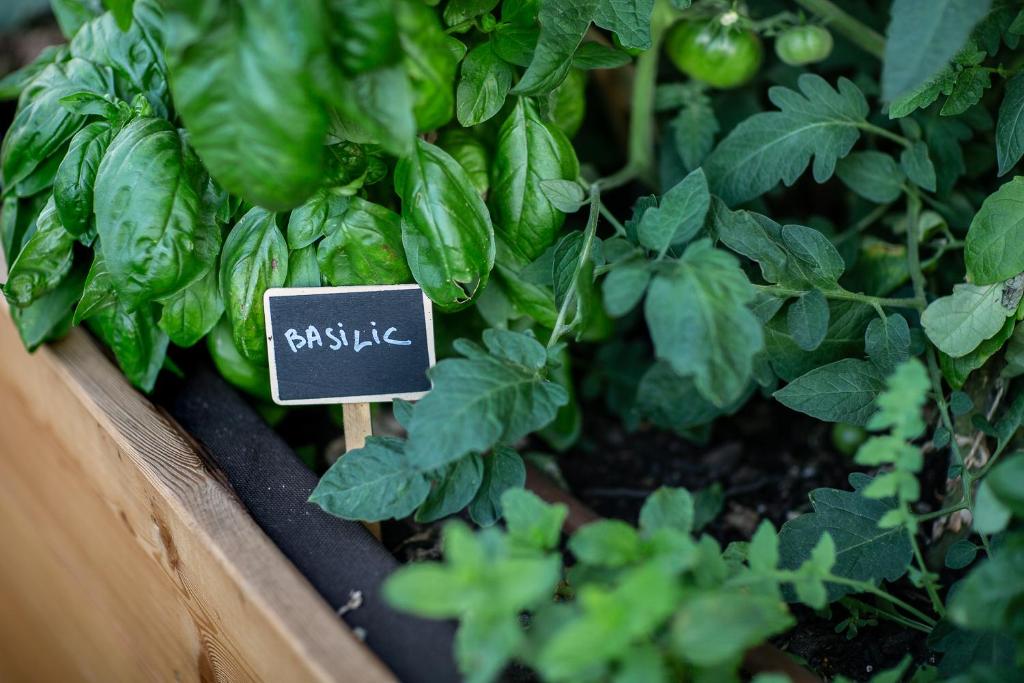 Eklo Bordeaux Centre Bastide - Resim 33