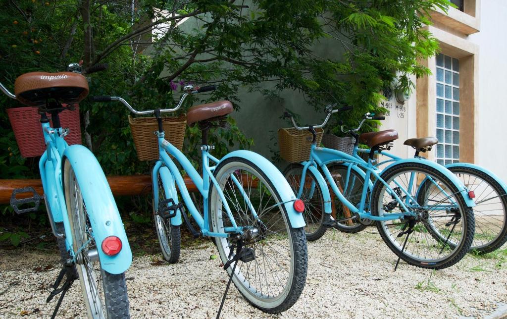 Jízda na kole v ubytování Hotel Tiki Tiki Tulum nebo okolí