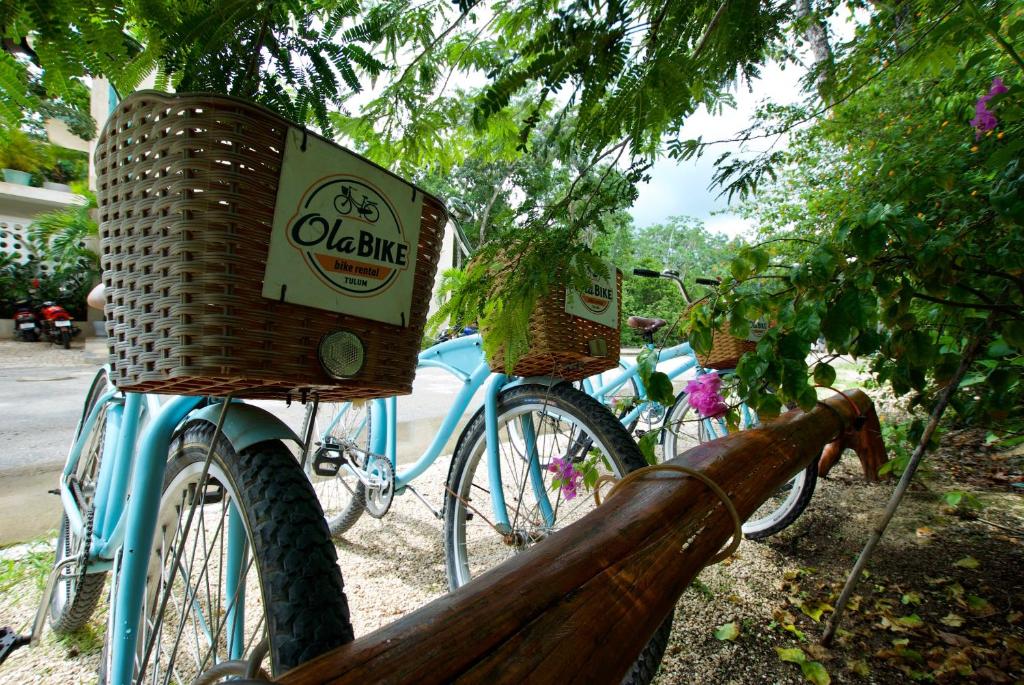 Jízda na kole v ubytování Hotel Tiki Tiki Tulum nebo okolí
