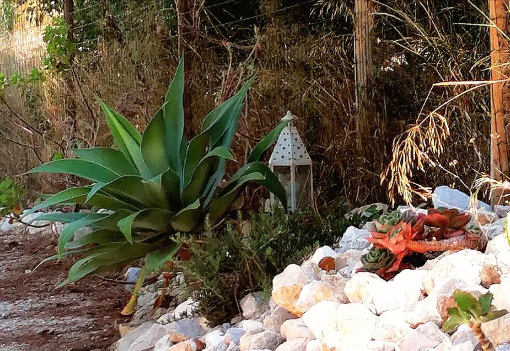 a garden with rocks and a plant and a plant at Quinta do Meco - Beach & Nature in Aldeia do Meco