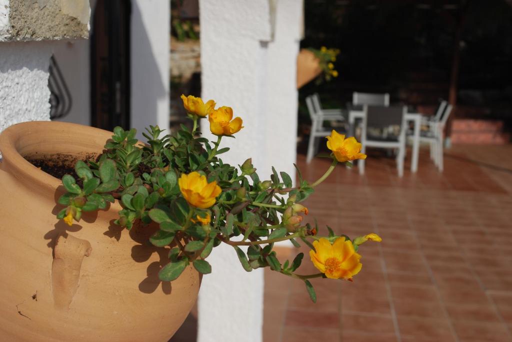 Fotografie z fotogalerie ubytování Villa Bello Horizonte v destinaci Pedreguer