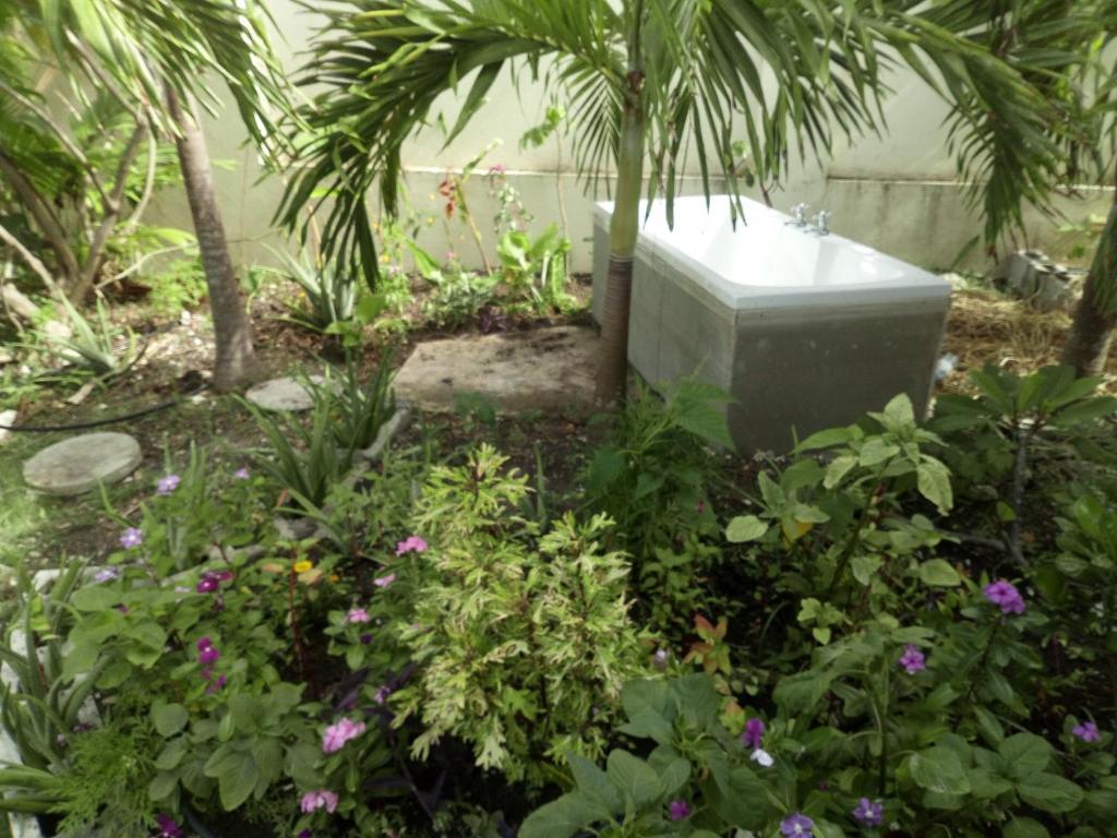 a garden with a toilet in the middle of flowers at The Pool House in Saint Philip