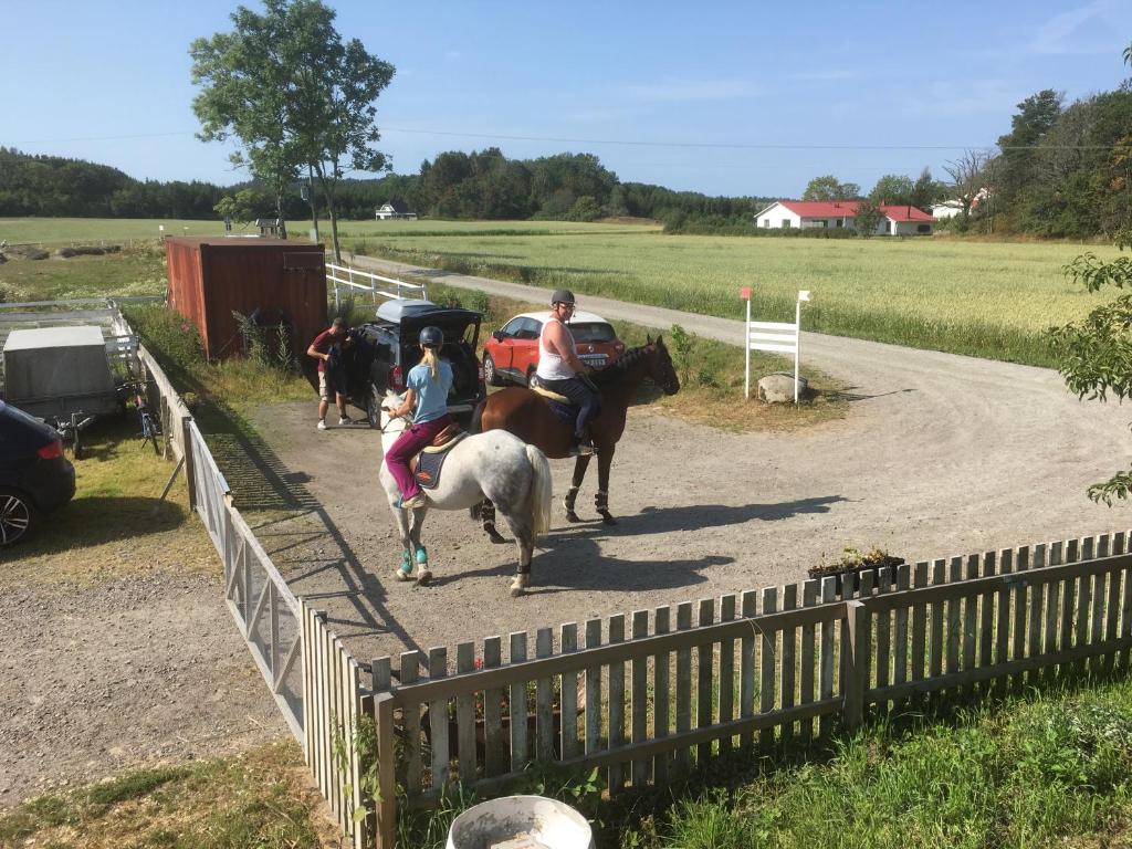 a group of people riding horses on a dirt road at ET-Home in Kungsbacka