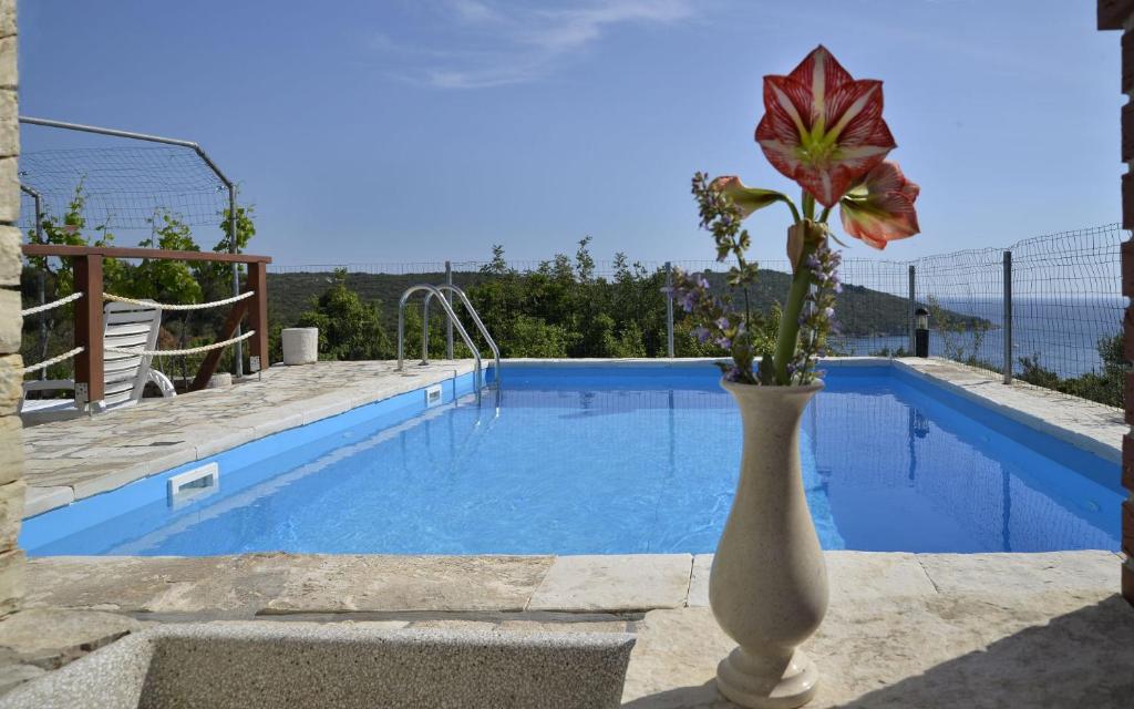 un jarrón con una flor junto a una piscina en Apartment Toni - with pool and view, en Maslinica