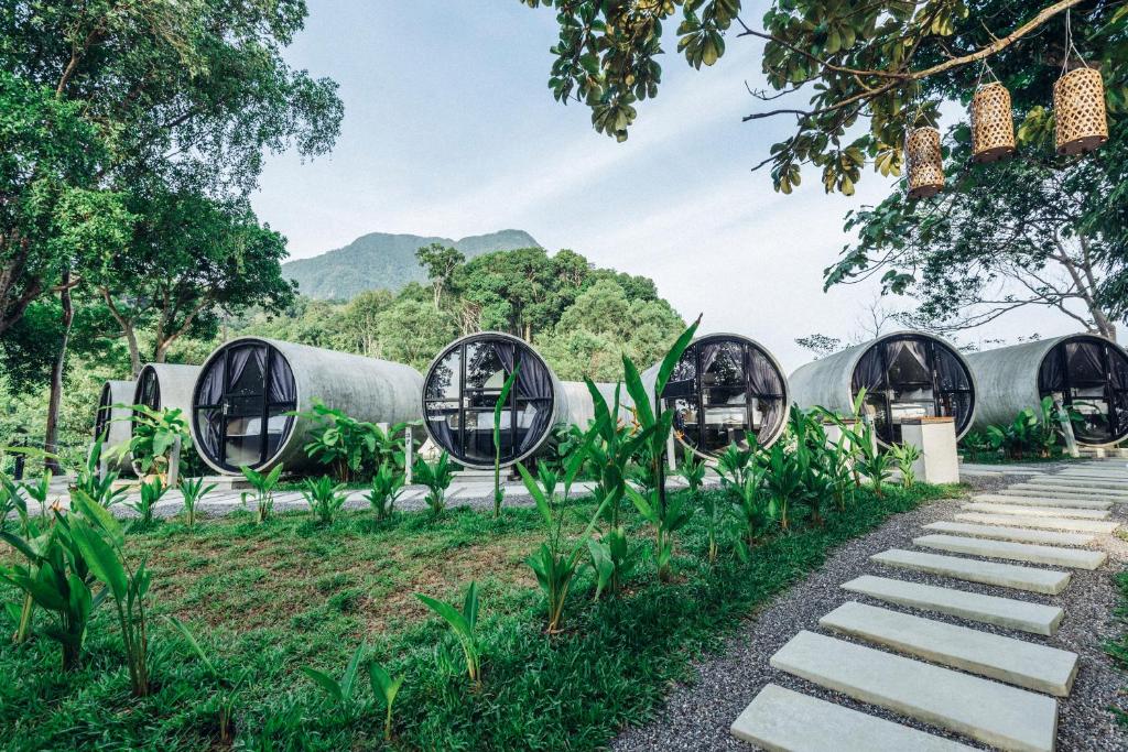 a group of domes in a field with trees at The Culvert in Kuching