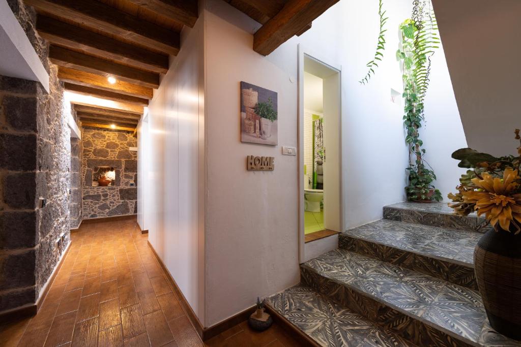 Fotografie z fotogalerie ubytování Villa Canaria piscina jacuzzi jardín v destinaci Santa Maria de Guia de Gran Canaria