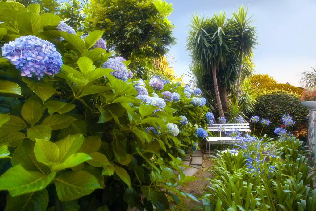 ソレントにあるホテル レジーナの紫の花と白いベンチのある庭園