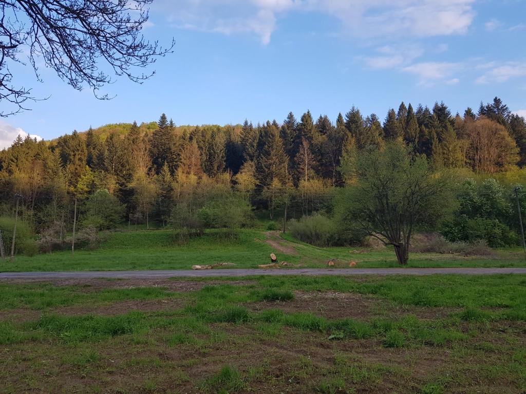 Příroda nedaleko prázdninového areálu
