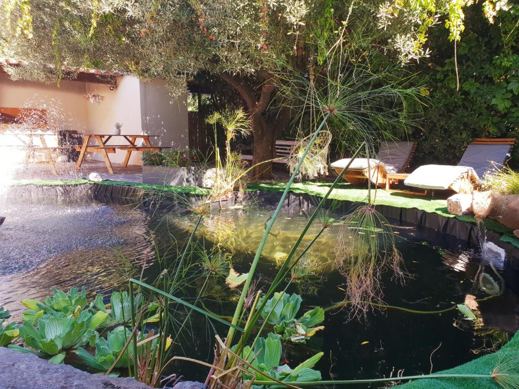 a pond in the backyard of a house at K.N.C.1601 in La Croix-Valmer