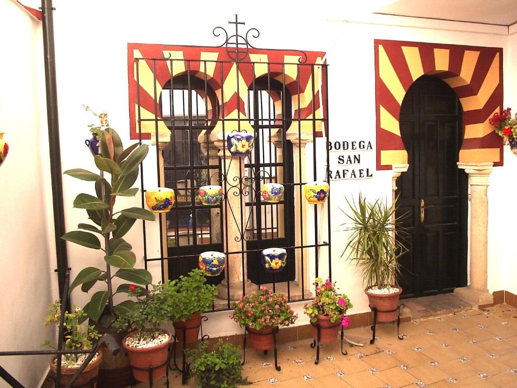 Fotografie z fotogalerie ubytování Hostal Bellido v destinaci Montilla