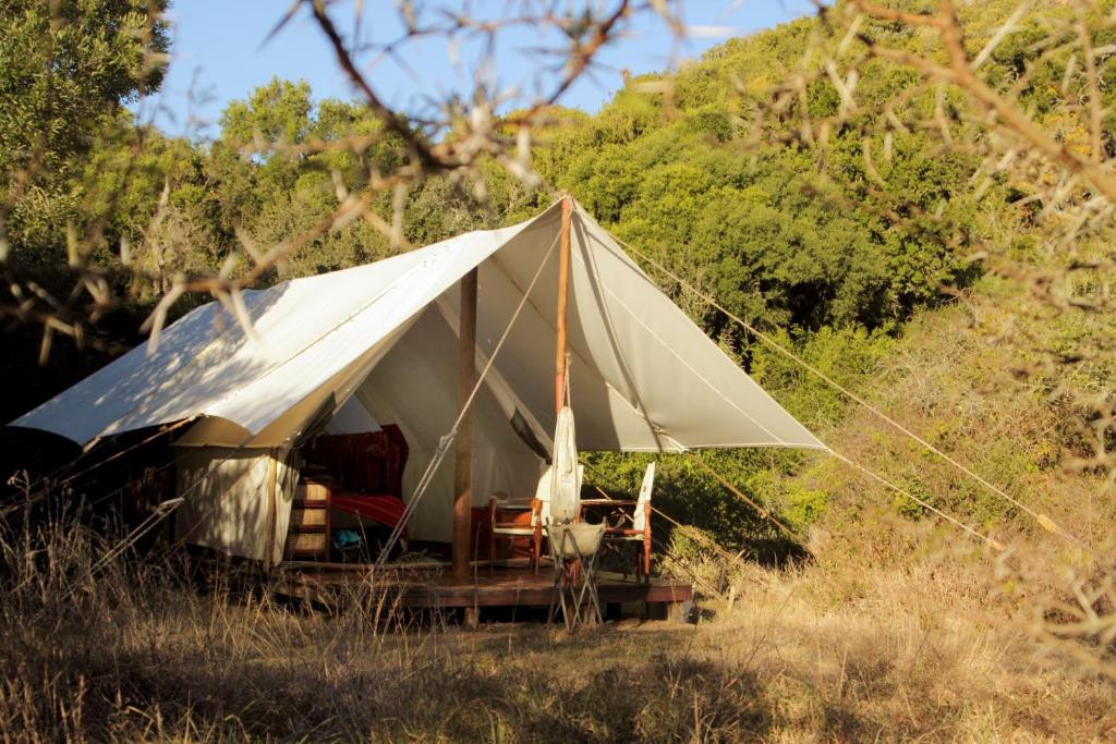 Příroda nedaleko luxury tent