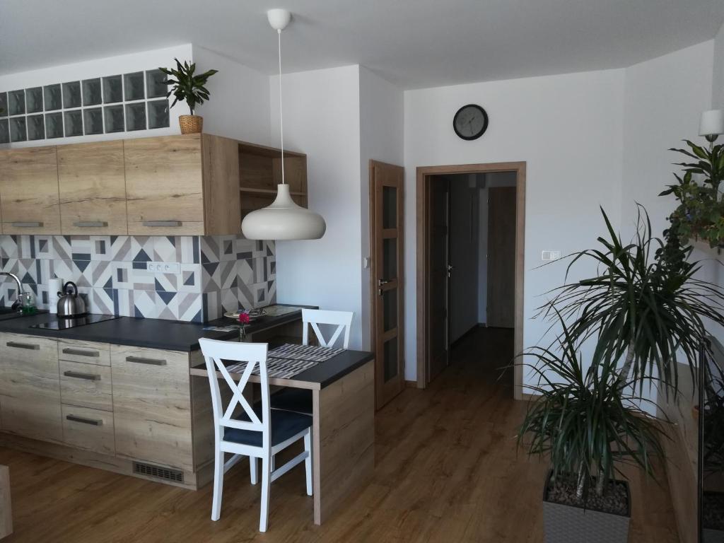 Kuchyň nebo kuchyňský kout v ubytování Apartmány U Holubů