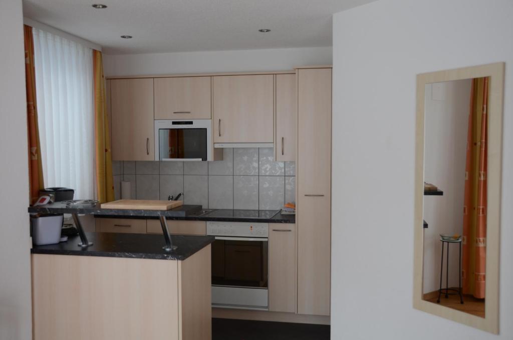 Kuchyň nebo kuchyňský kout v ubytování Appartements Feehof
