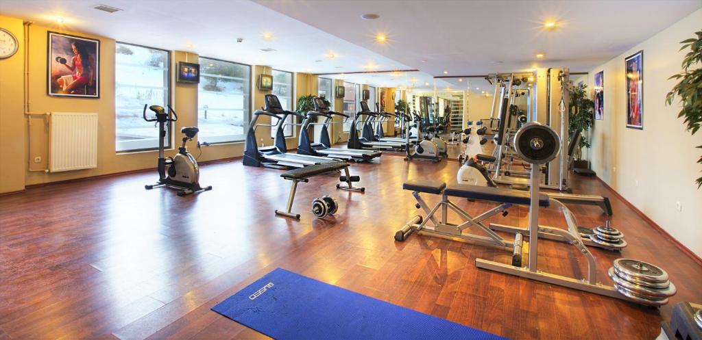 Фитнес-центр и/или тренажеры в Dedeman Palandoken Ski Lodge Hotel